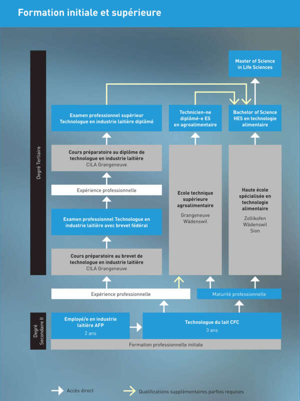 Schéma formation professionnelle initiale et supérieure Schéma formation professionnelle initiale et supérieure
